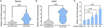 Silencing of miR-150-5p Ameliorates Diabetic Nephropathy by Targeting SIRT1/p53/AMPK Pathway